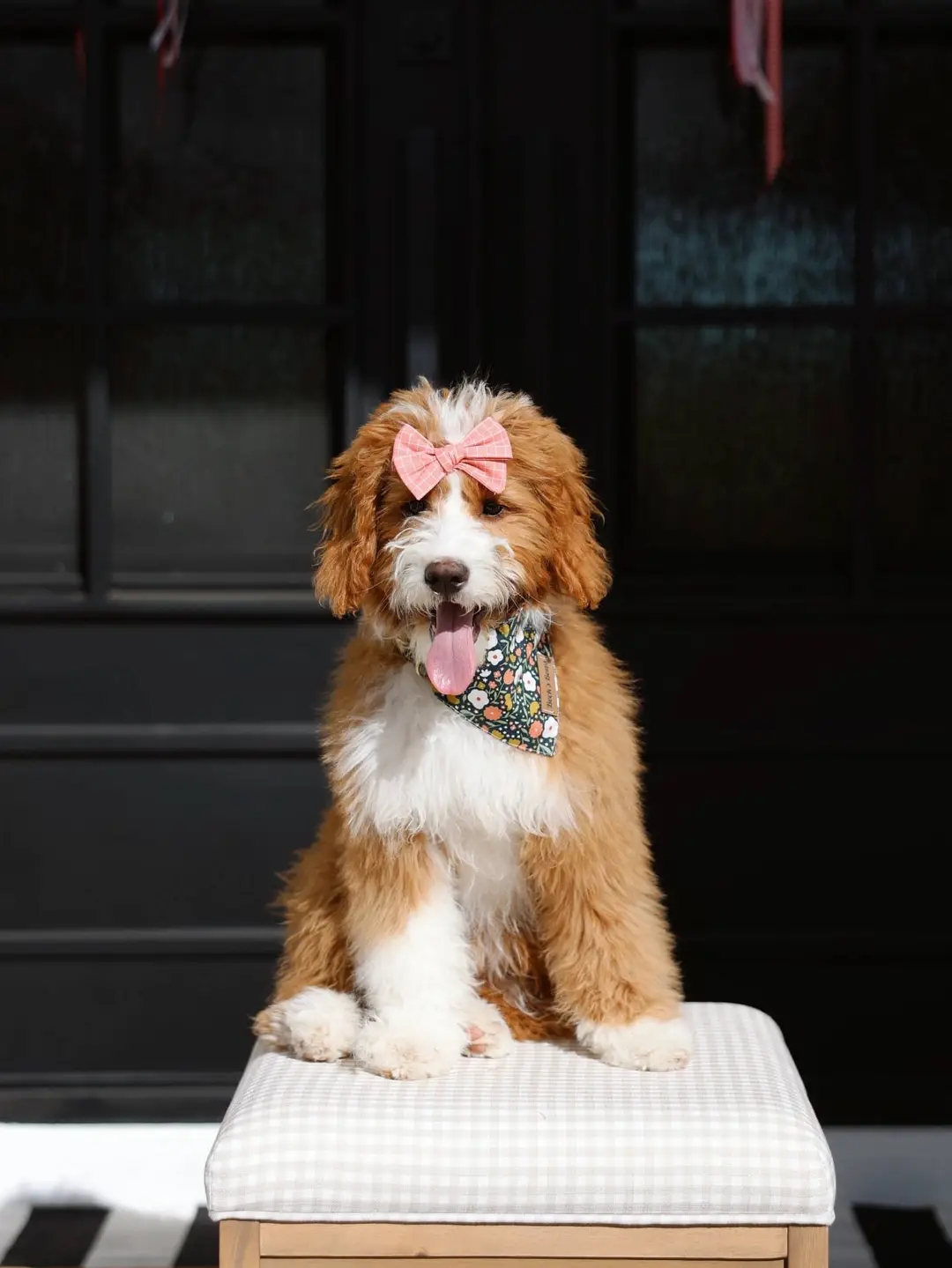 Max photo 2