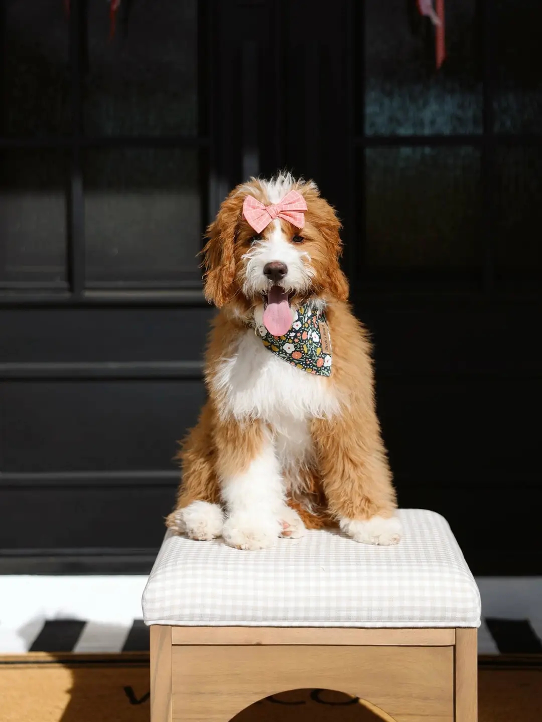 Max photo 3