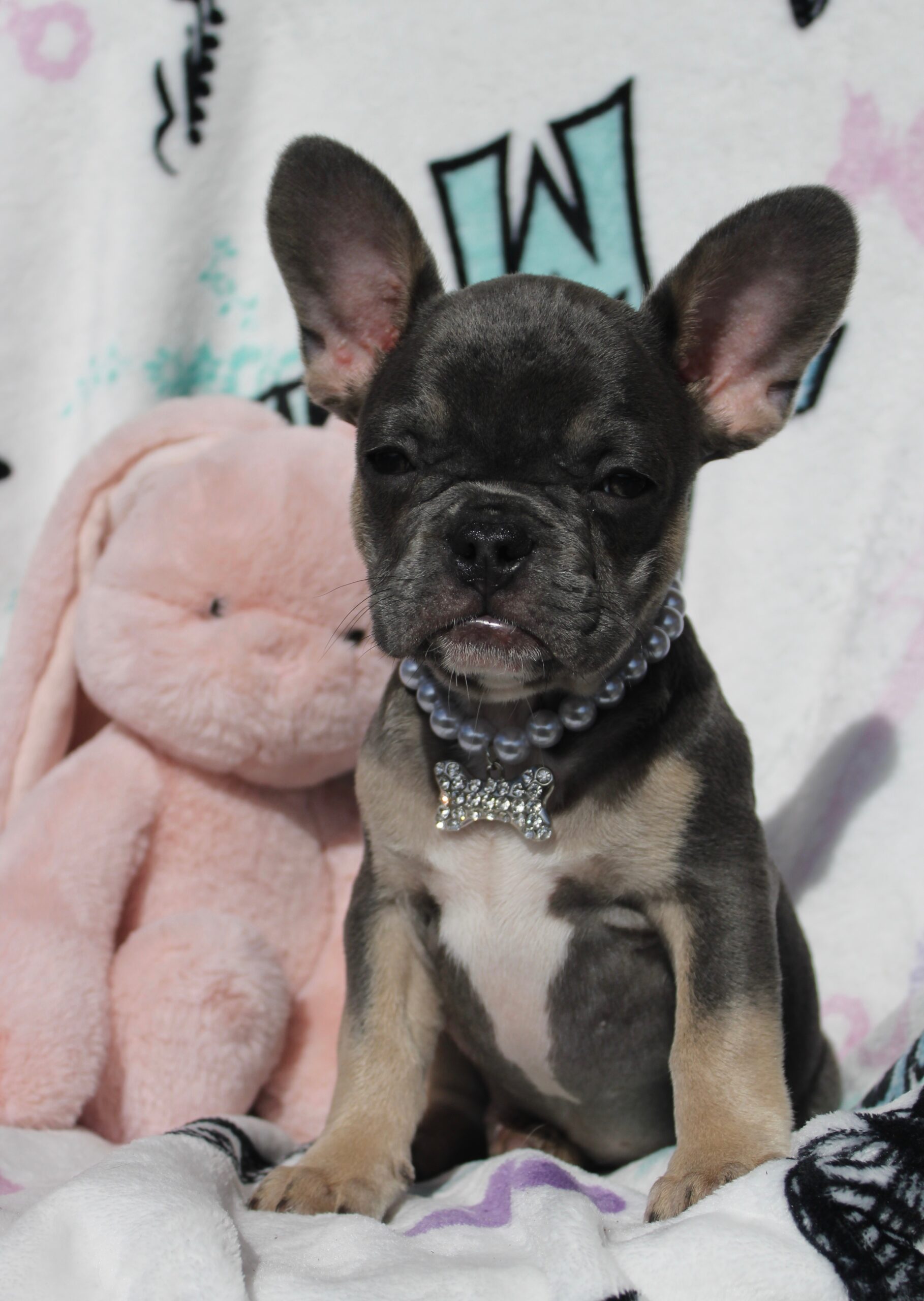 Oliver
