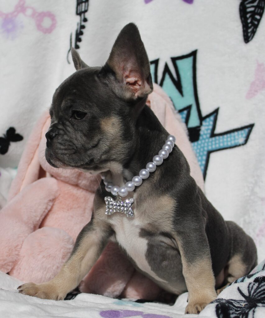 Oliver photo 3