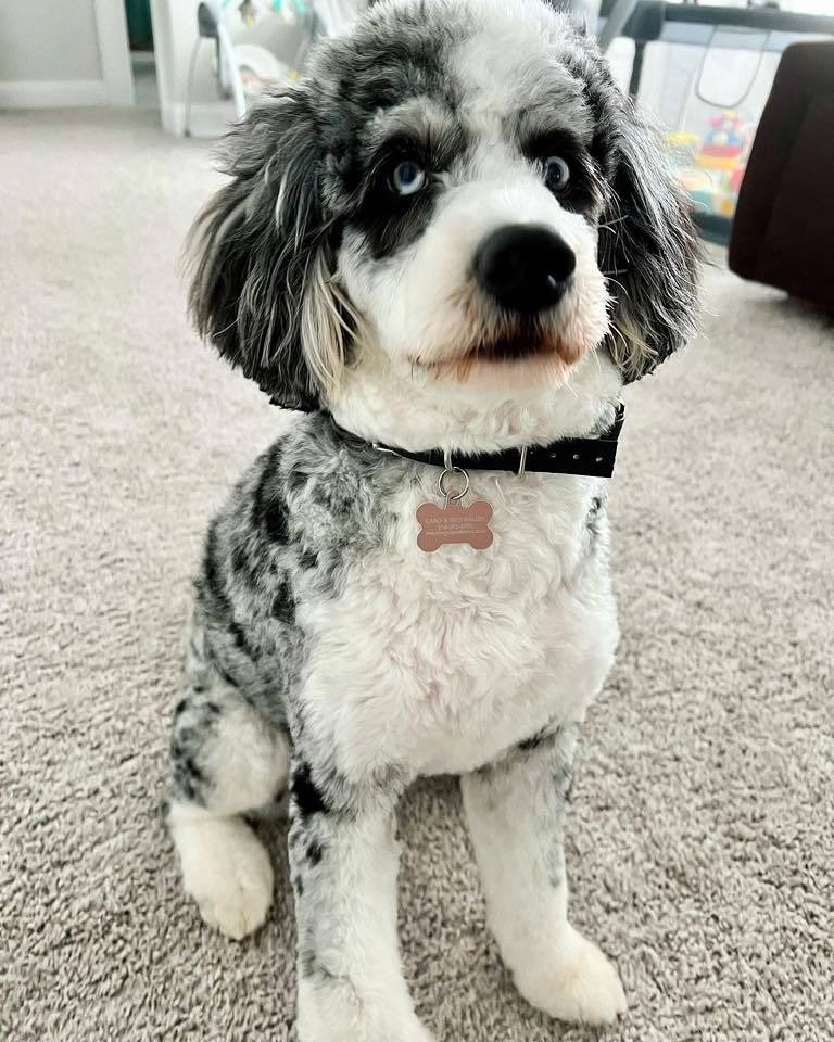 Della
