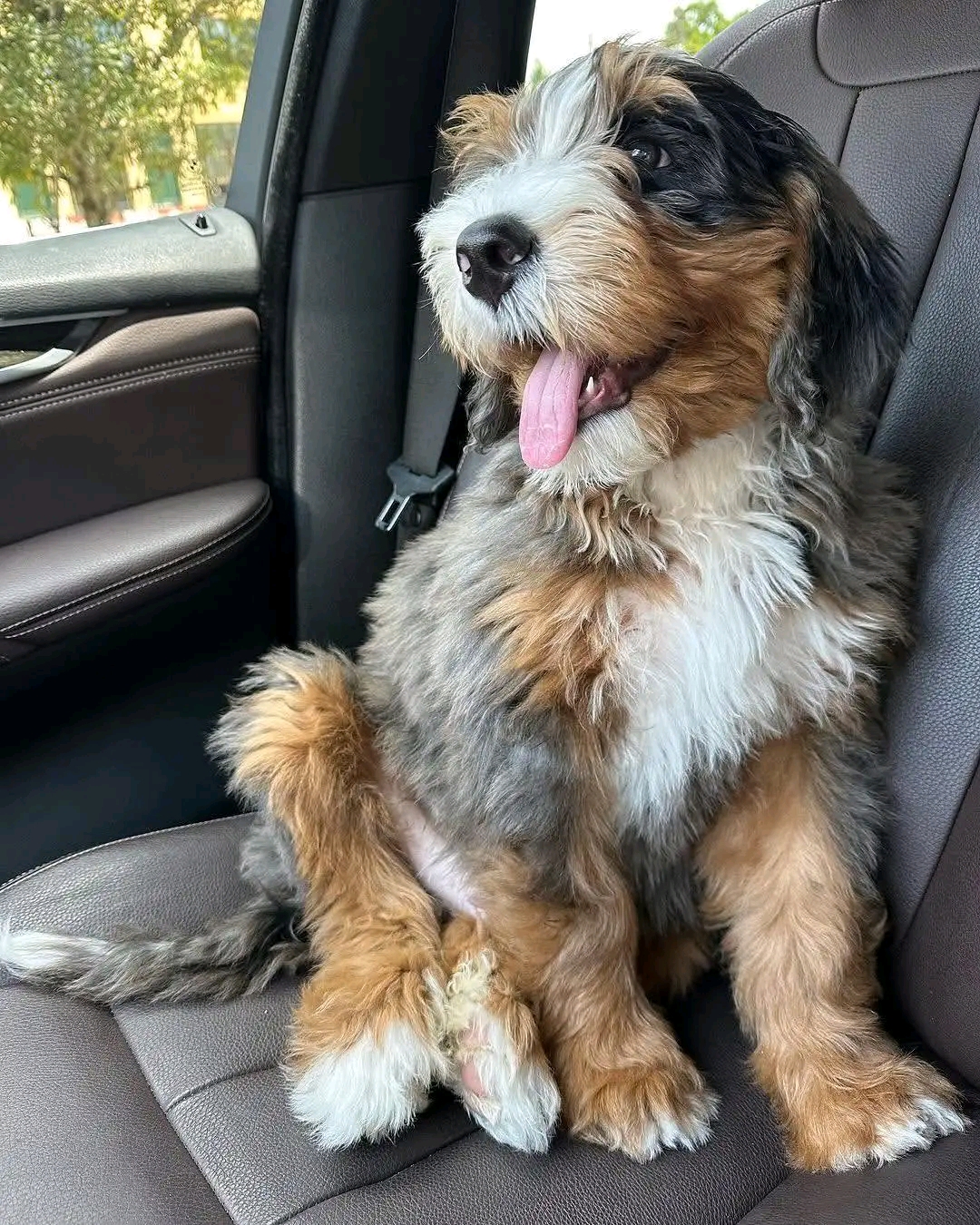 Luka