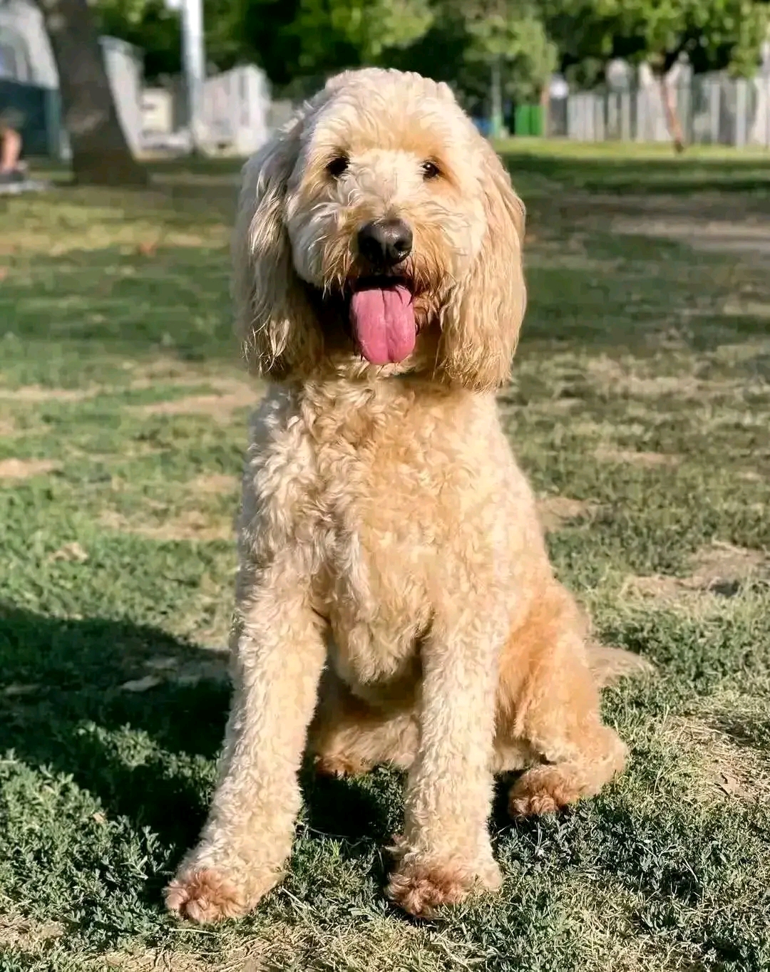 Marley
